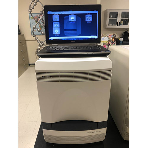دستگاه ریل تایم PCR