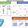 نحوه کار انواع و کاربرد دستگاه PCR