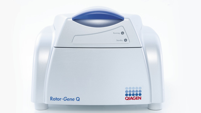 ریل تایم Rotor Gene Q 6plex ساخت Qiagen