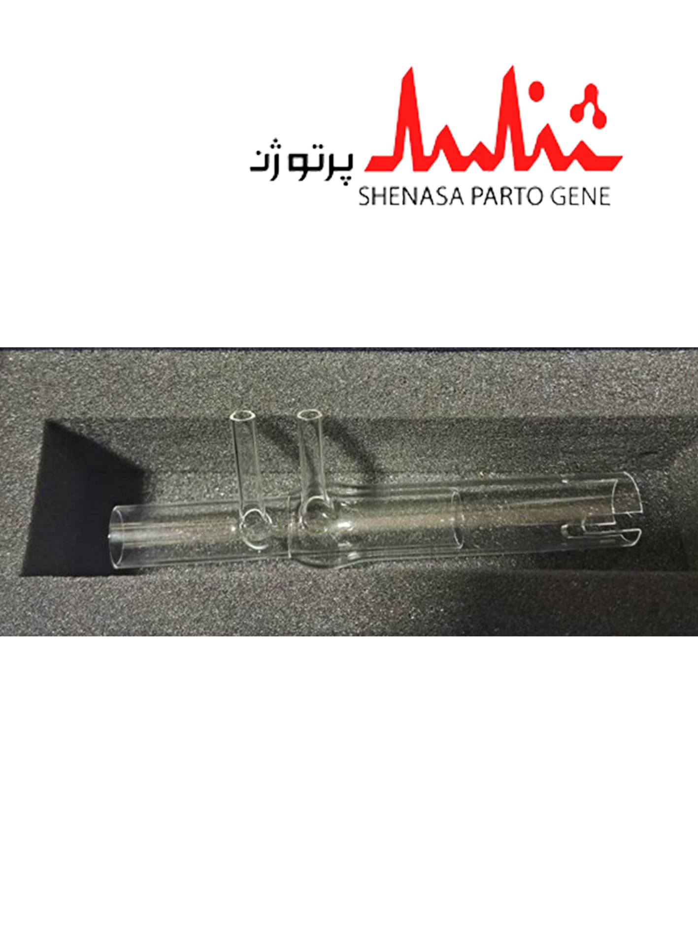 تورچ دو لبه