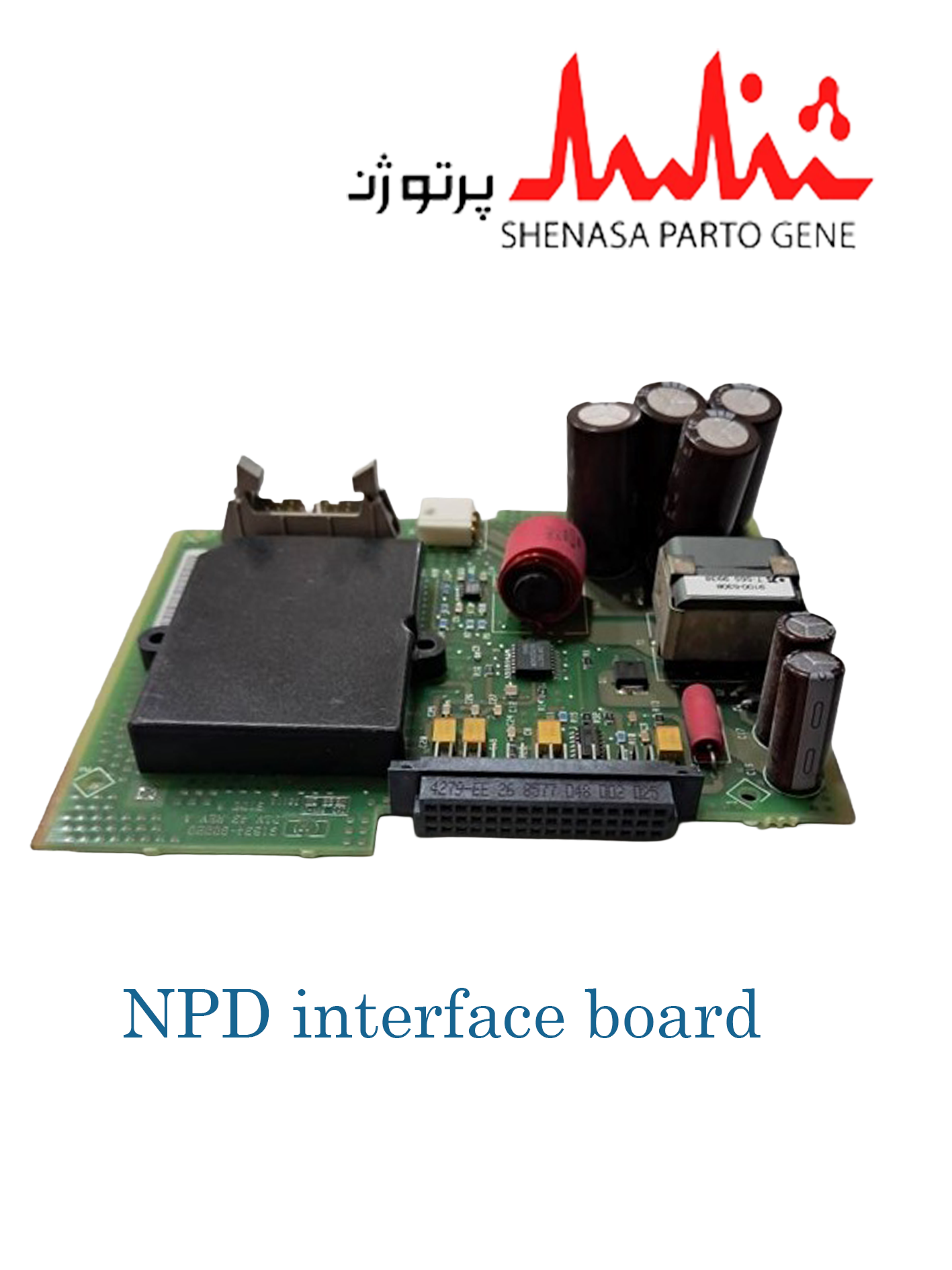 برد واسط NPD